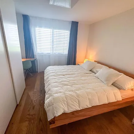 Business Rheintal 98 Qm, 2 Tg Plaetze, Ideal Fuer 1 Bis 2 Personen * Rebstein