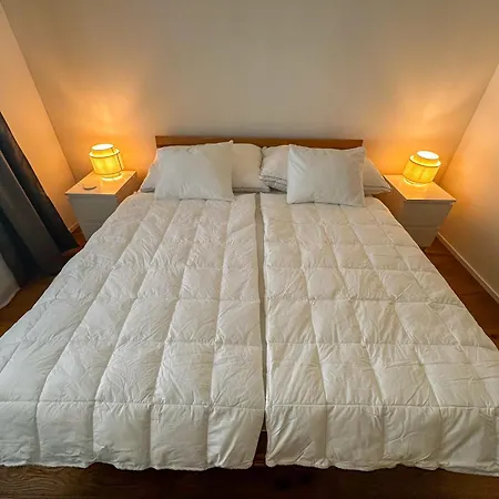 Business Rheintal 98 Qm, 2 Tg Plaetze, Ideal Fuer 1 Bis 2 Personen *