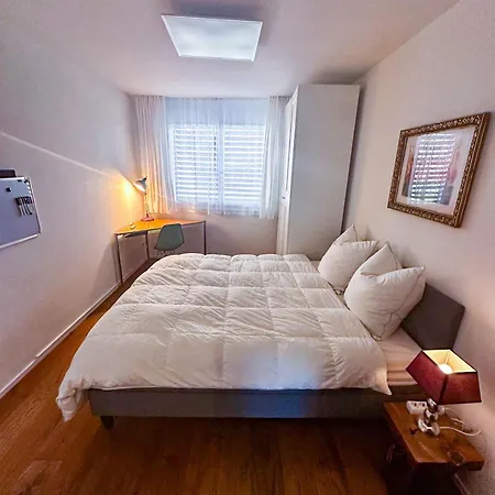Business Rheintal 98 Qm, 2 Tg Plaetze, Ideal Fuer 1 Bis 2 Personen Lägenhet Rebstein